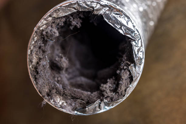 Best Best Air Duct Cleaning Company  in Fords Prairie, WA